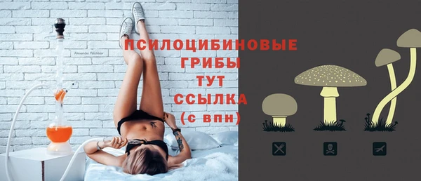 прущие грибы Белокуриха