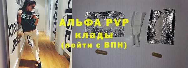 прущие грибы Белокуриха