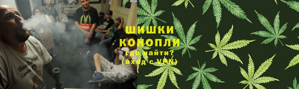 прущие грибы Белокуриха