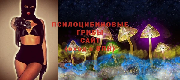 прущие грибы Белокуриха