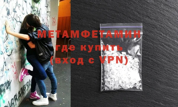 прущие грибы Белокуриха