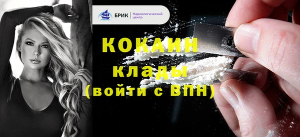 прущие грибы Белокуриха