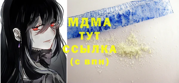 прущие грибы Белокуриха