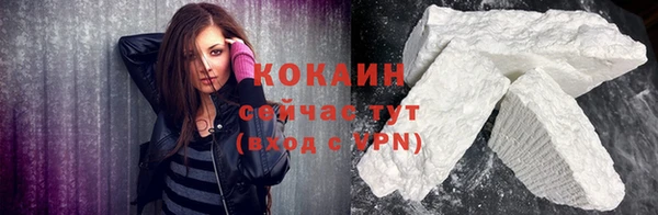 прущие грибы Белокуриха